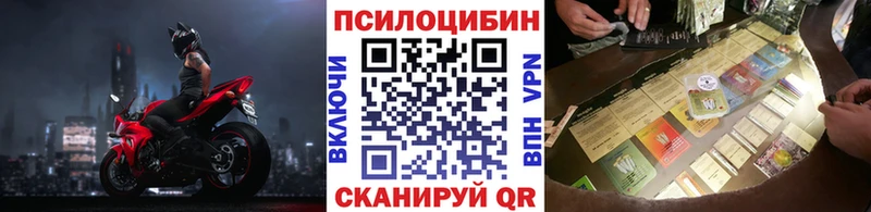 Псилоцибиновые грибы Cubensis  shop какой сайт  Березники 
